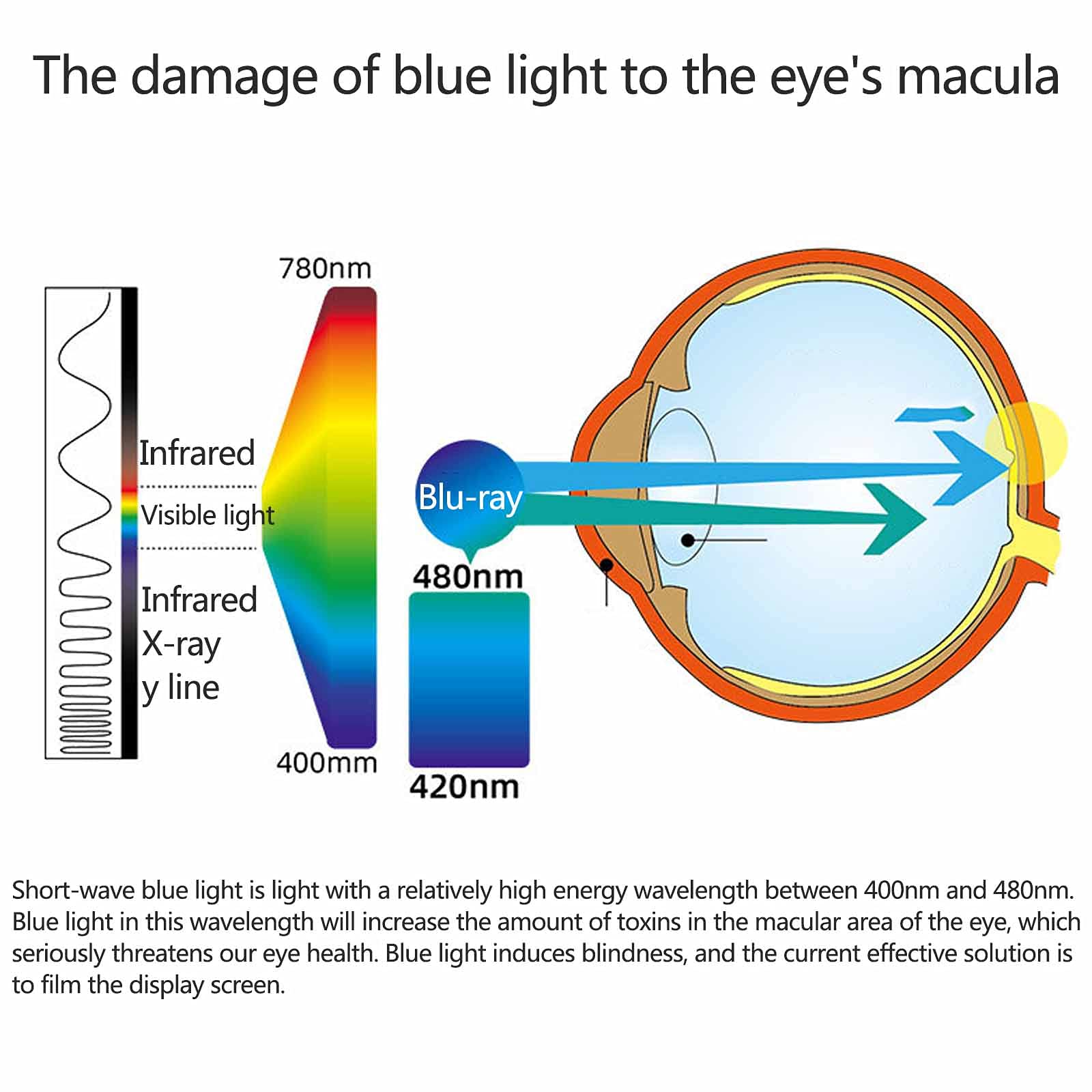 Pellicola Salvaschermo per Computer Desktop Pellicola Anti Luce Blu Che Blocca Il Filtro Pellicola Protettiva per Schermo in Acrilico HD Tipo di Sospensione,20in(458 * 270)