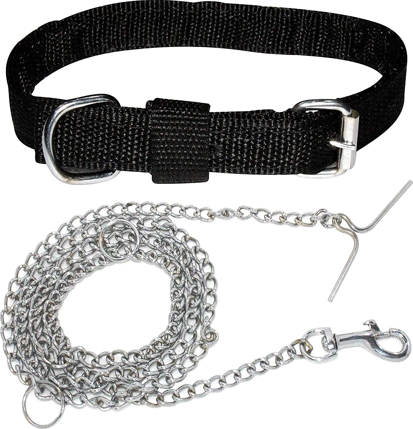 D&C Paws Dog Belt Combo of 3/4 inch Black Dog Collar with Dog S Steel Chain Specially for Small Dogs & Puppies Under (8-13kg) Dogs Collar Chain