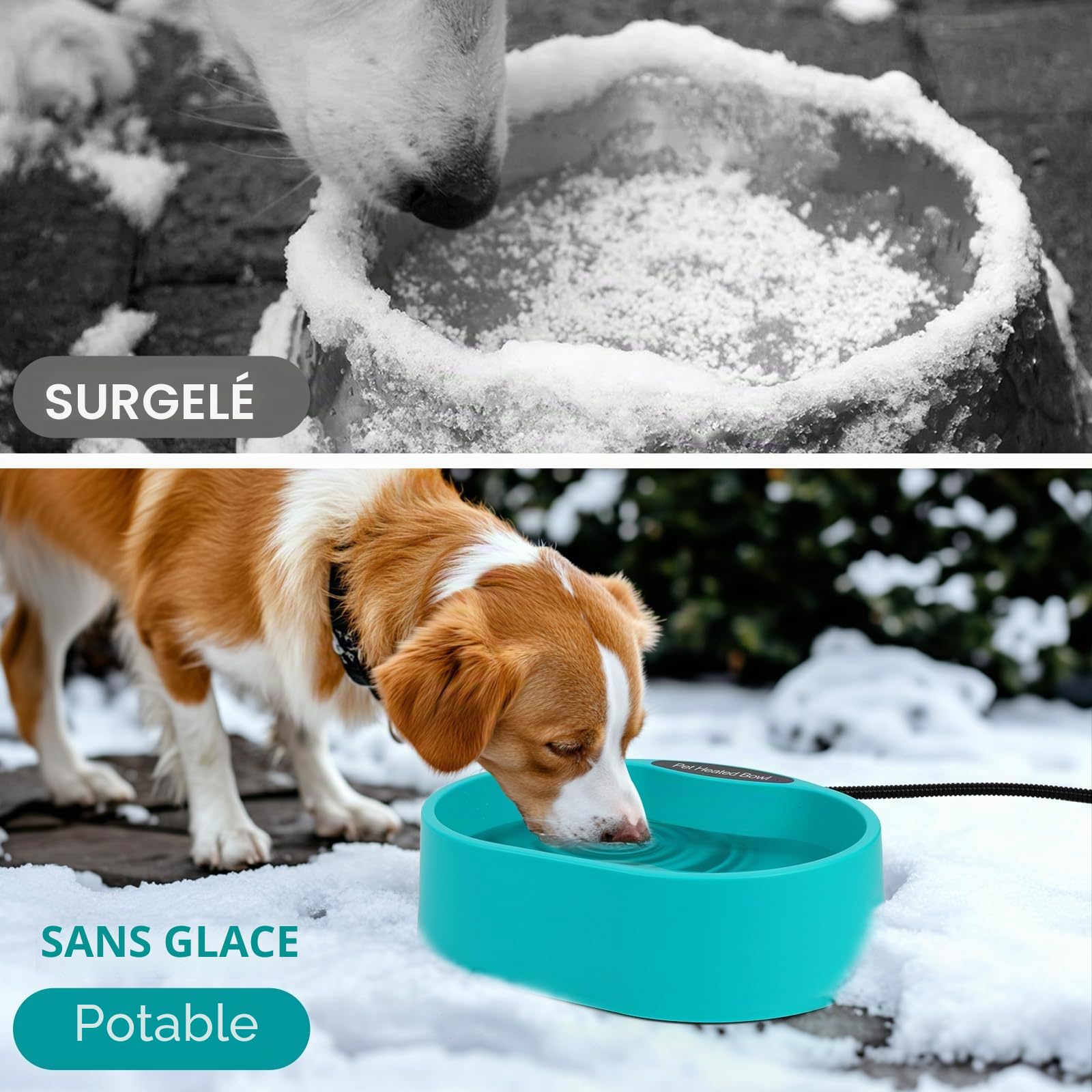 Diealles Shine Ecuelle d'eau Chauffée pour Chiens, 3.7L Ecuelle Chauffée pour Animaux Domestiques, Abreuvoir Chauffé Antigel, 2m Câble Anti-Bite, Ecuelle d'eau Chauffée pour Chiens Chats Lapins