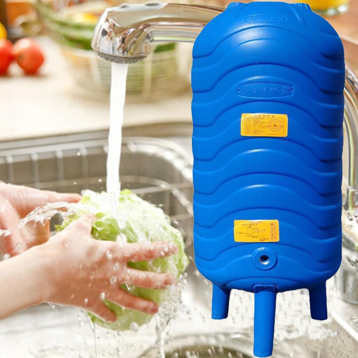 Serbatoio dell'acqua pressurizzata, serbatoio verticale da 60 litri con kit di installazione per casa, giardino, pozzo, acqua