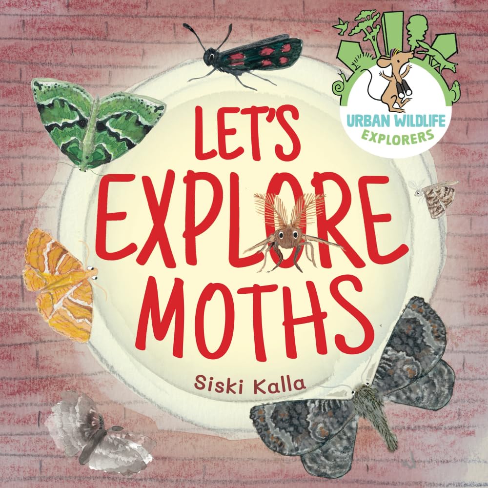 Let's Explore Moths: An urban wildlife explorers book: 3