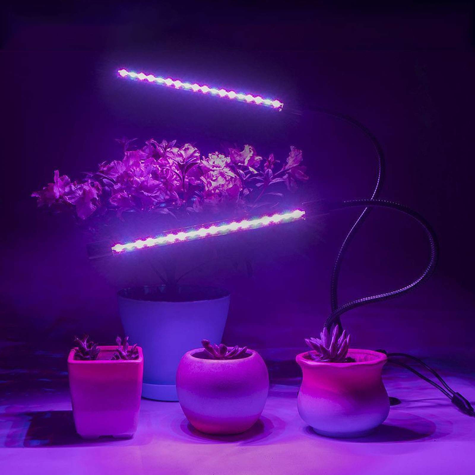 Luz de Cultivo de Plantas de 80 W, luz de Planta LED de Doble Cabezal, 9 Niveles Regulables, 3 Modos de Temporizador (3H/9H/12H), Utilizada para la germinación de Plantas, floración a Fruta