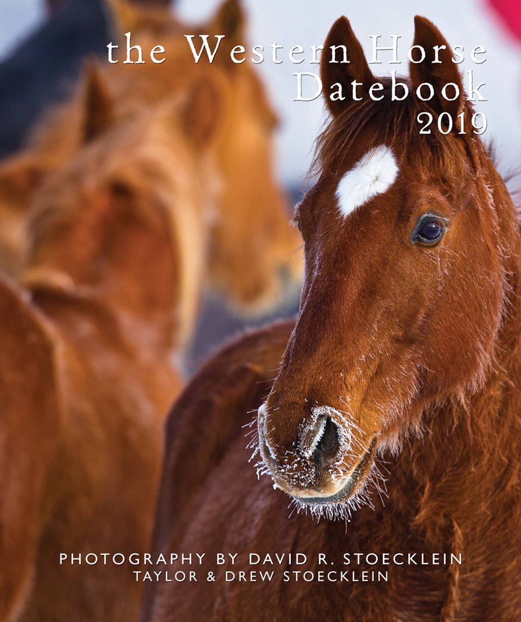 Western Horse 2019 Datebook