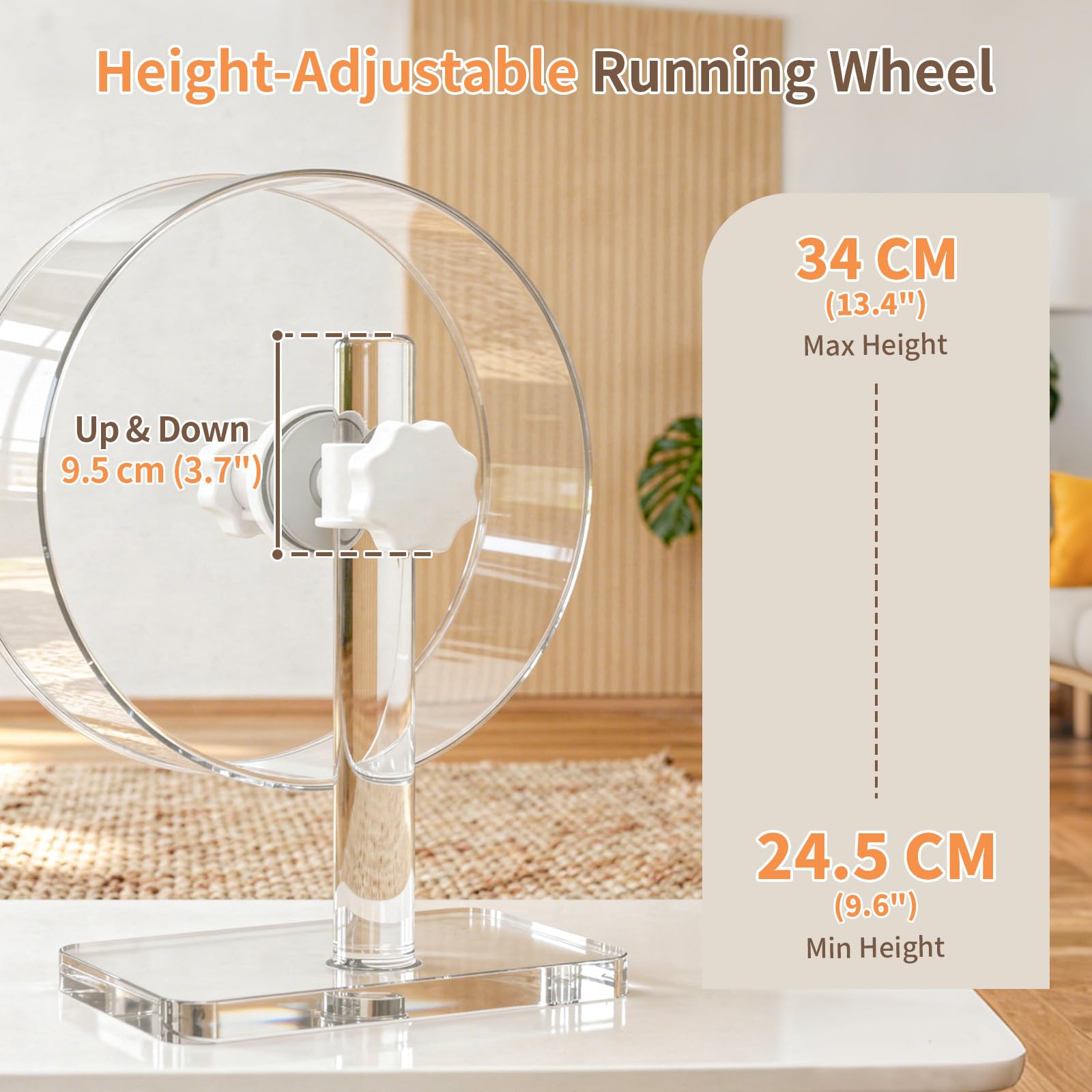 Roue de hamster silencieuse de 24 cm pour hamsters dorés et gerbilles