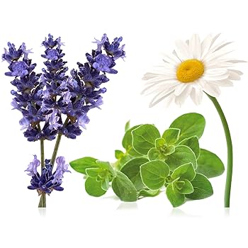 doTERRA Serenity エッセンシャルオイル 15mL 2本セット 51x9YWCV0EL.jpg