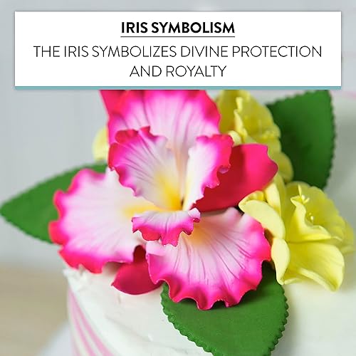 Miniatura 4 de Global Sugar Art Flores de pastel de azúcar con iris holandés, color rosa intenso con centro amarillo y blanco, 1 unidad por el chef Alan Tetreault