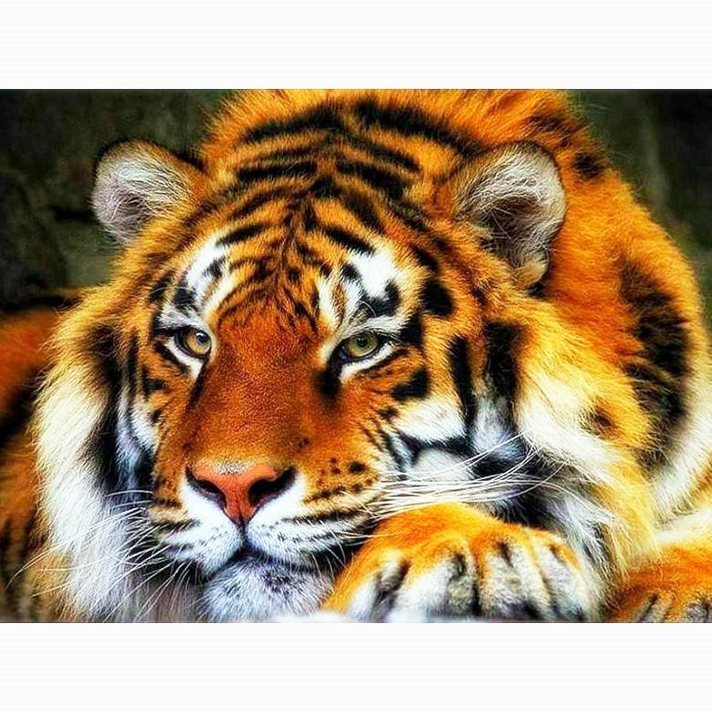 Kit peinture diamants tigre grand format cadeau créatif pour broderie strass