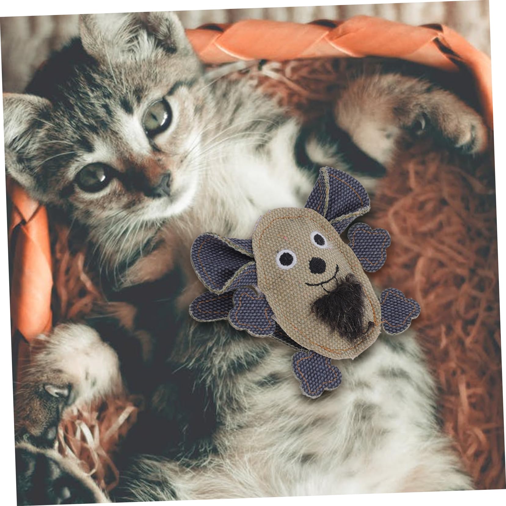 Toddmomy 10piezas Ratones De Catnip para Gatos Juguetes Interactivos Lona Morder y Jugar Accesorios para Mascotas