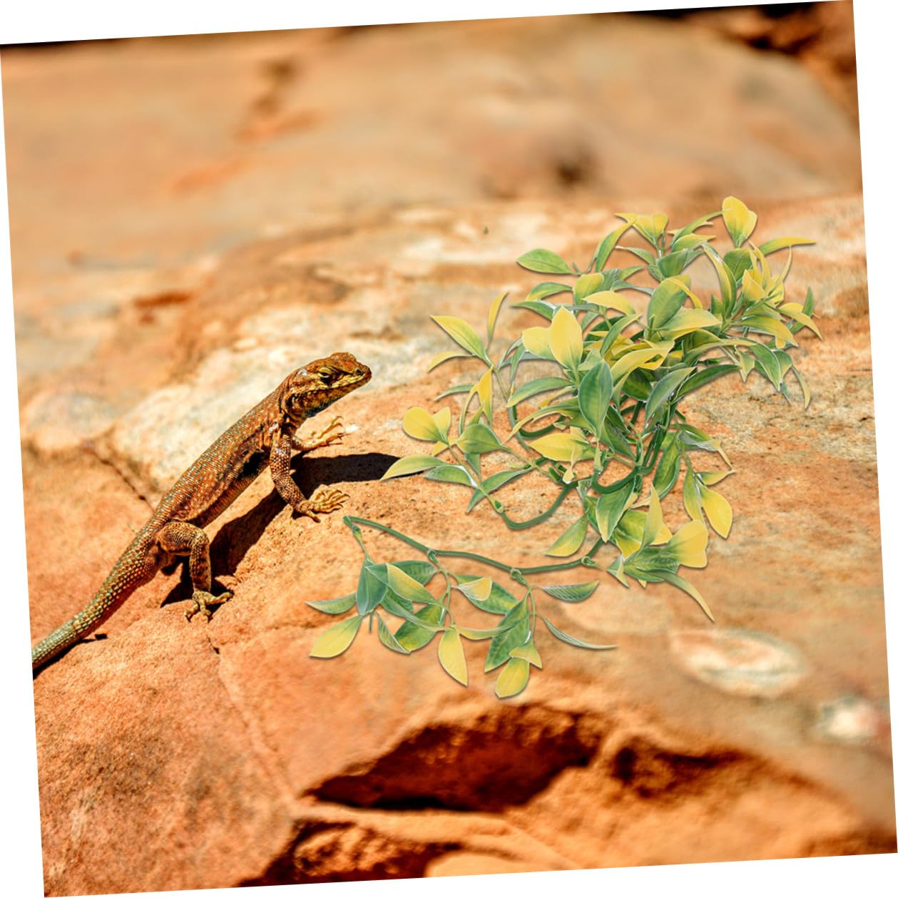 Plantas para Reptiles para Terrarios 6 Piezas Enredaderas Artificiales Colgantes de Plástico Decoración para Jaulas de Reptiles Accesorios para Terrarios sin Mantenimiento