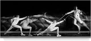 Trademark Fine Art Fencing 1 by Hilde Ghesquiere, 10x24-Inch, 10 in x 24 in