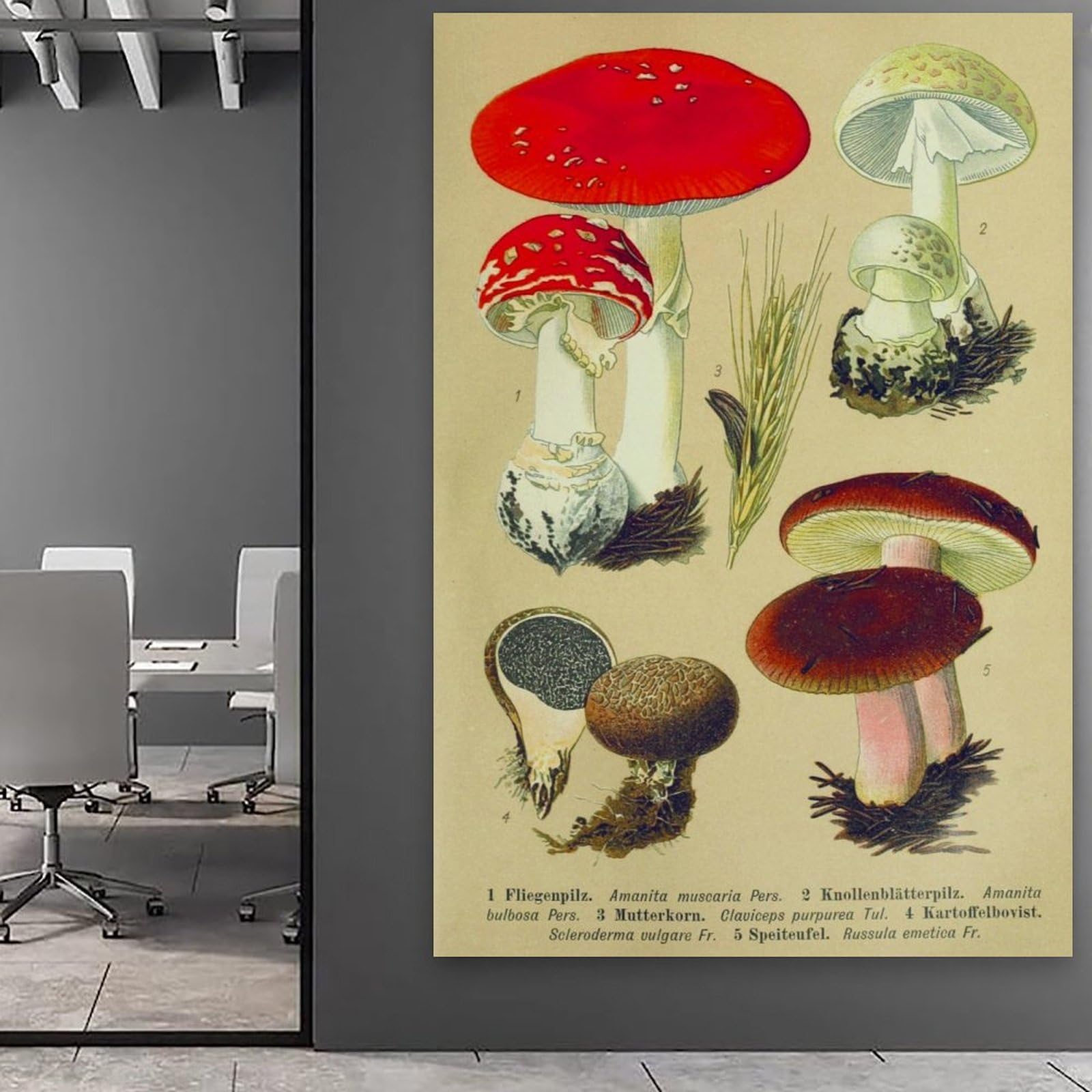 generisch Mushrooms of Central European Modern Canvas Prints, Cuadros Decorativos Para Habitaciones de Niños o Niñas, Murales para Sala de Estar Y Pinturas con Motivos Festivos24x36 Pulgadas