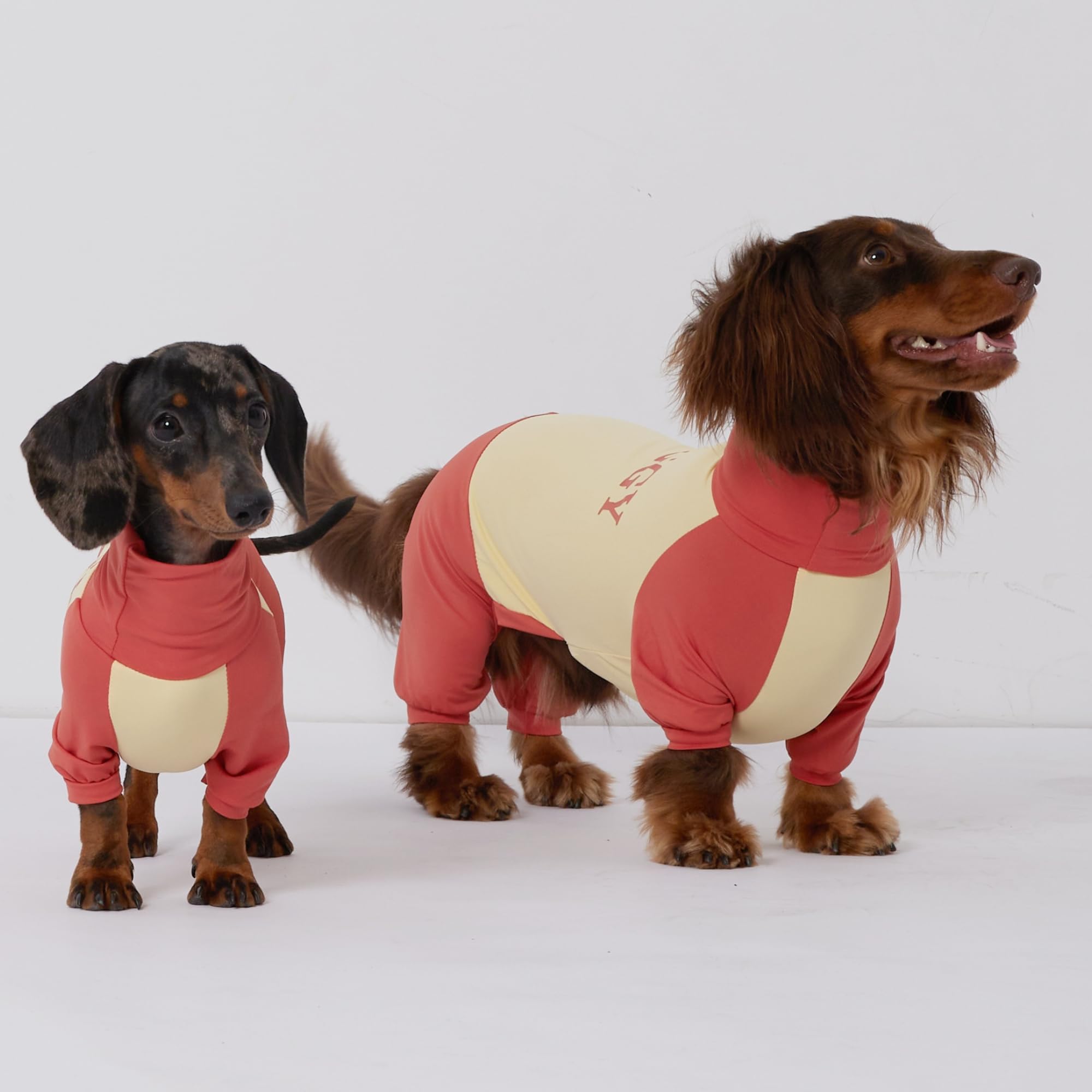 Dachshund Dog Cooling Summer Shirt, UPF50+ Four-Legged Sun Protection Clothes, Quick-Dry Summer Shirt for Dachshund and mini Dachshund (Medium)