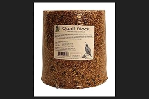 Quail Seed Block, Ample Nutrition for Quail