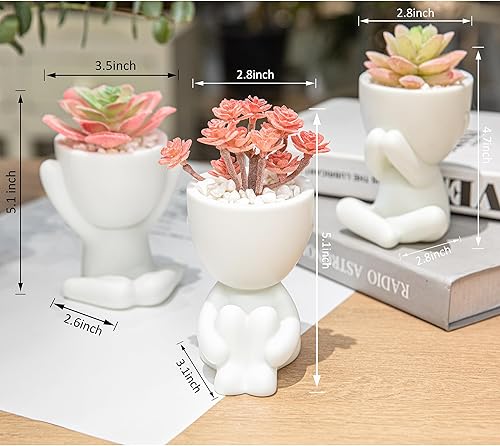 Miniatura 8 de 3 piezas de bonitas plantas artificiales para decoración de oficina para mujeres y hombres, decoración estética de escritorio para oficina y hogar,