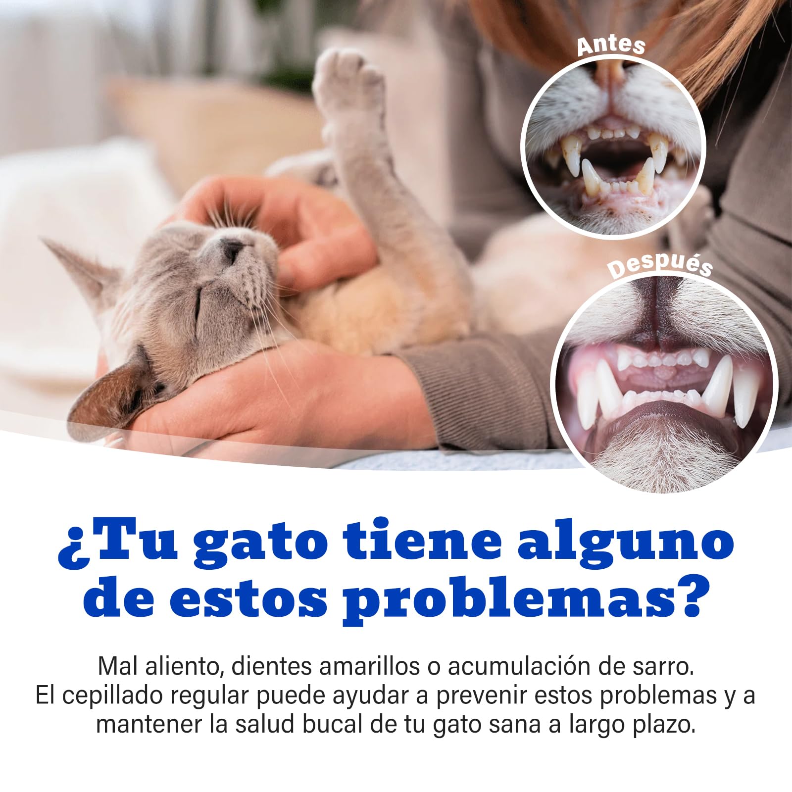 Juego de Cuidado Dental para Gatos, Pasta Dentífrica Sabor Atún 30 g, Incluye 2 Cepillos dientes gato, Fórmula Suave para el Cuidado Dental y un Aliento Fresco