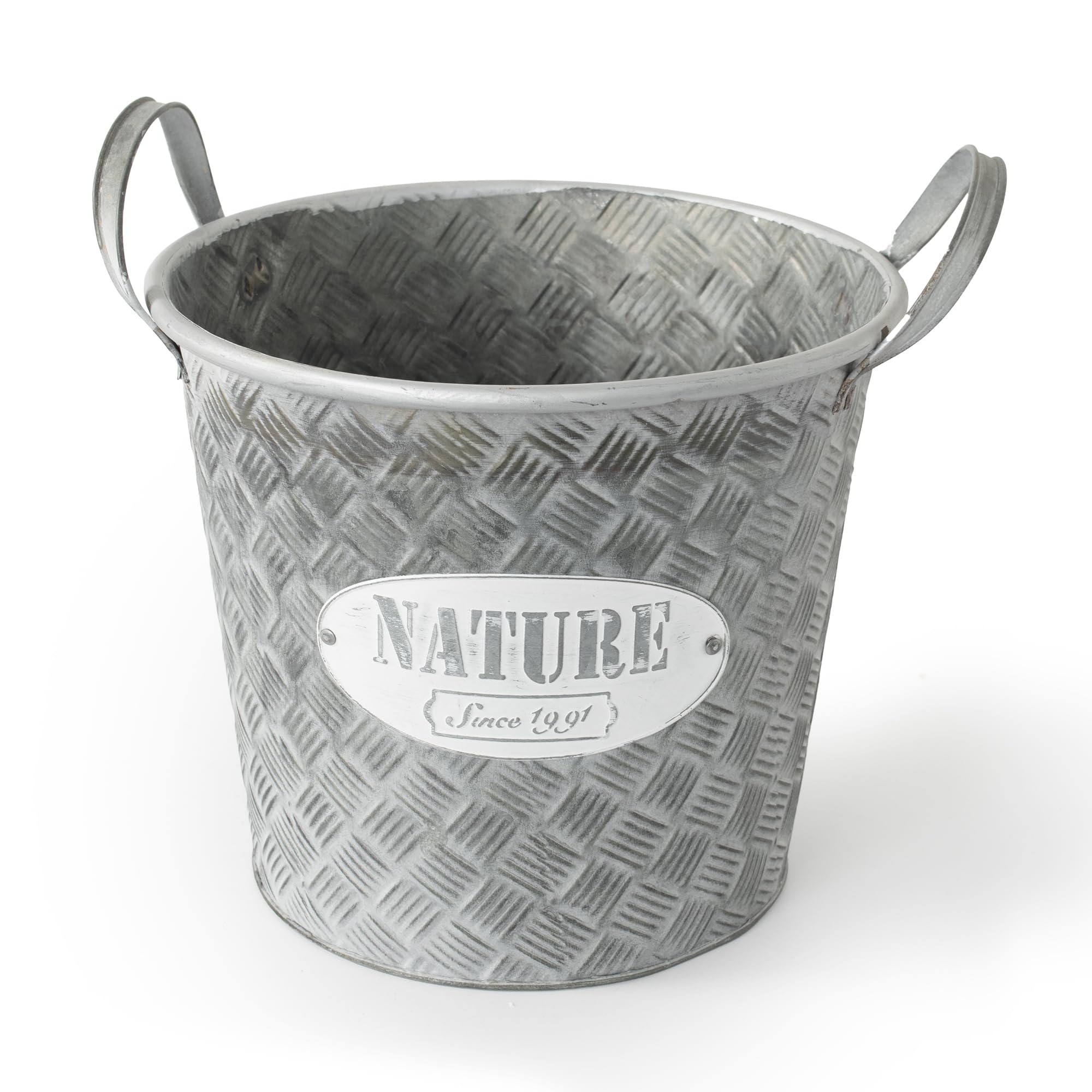 Rammento 25cm Steel & Zinc Galvanised Metal Bucket Planter, Silver | Outdoor Herb Garden Flower Pot with Handles, Indoor Houseplant Pot | 10 Litre Heavy-Duty Bucket for Kindling & Cold Coal Storage