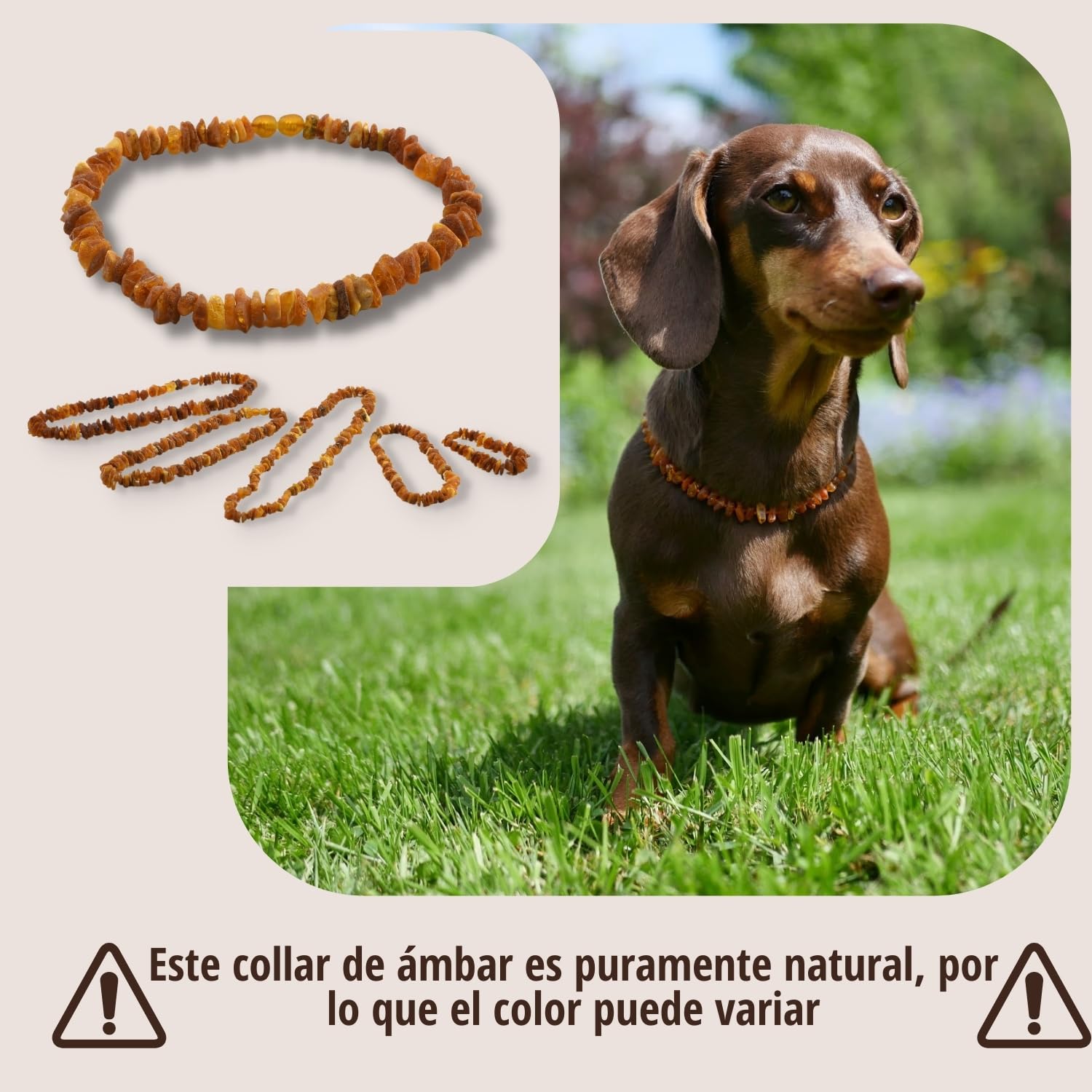 Collar antipulgas PetLove para Perros y Gatos • 100% ámbar báltico • Collar antipulgas para Perros • Collar antipulgas para Gatos • Longitud: 50 cm