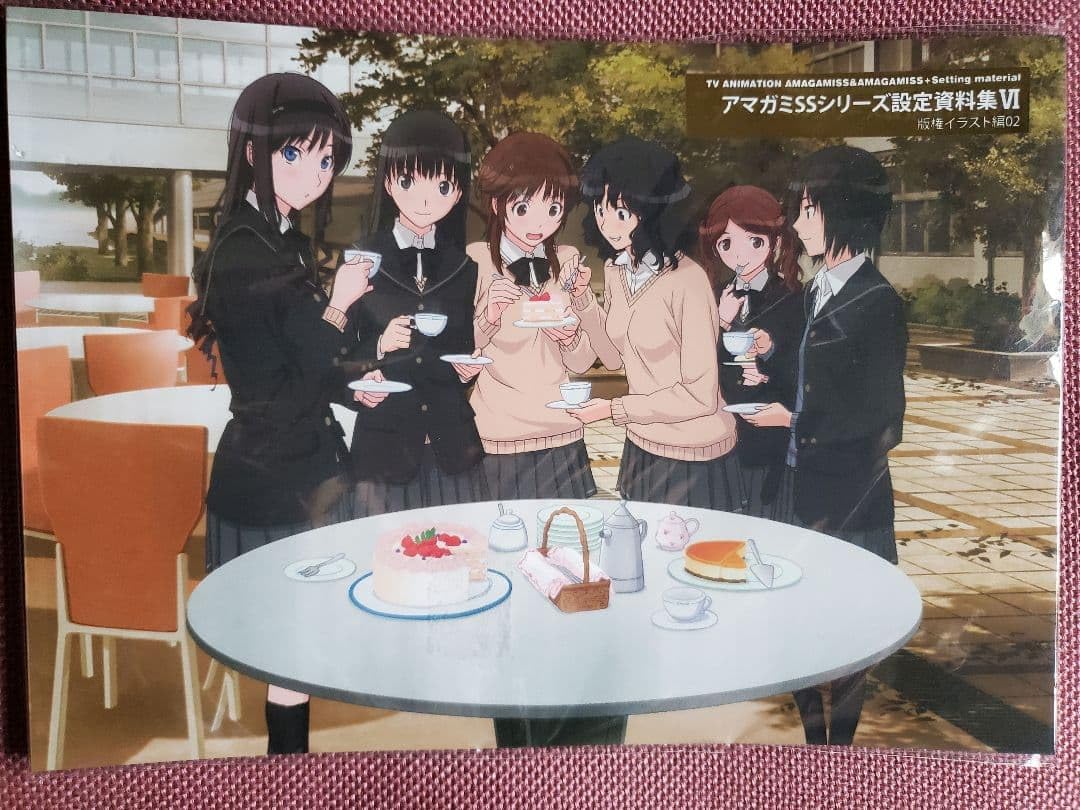 Amazon.co.jp: アマガミ 設定資料集Ⅵ イラスト集 版権画集 : ホーム