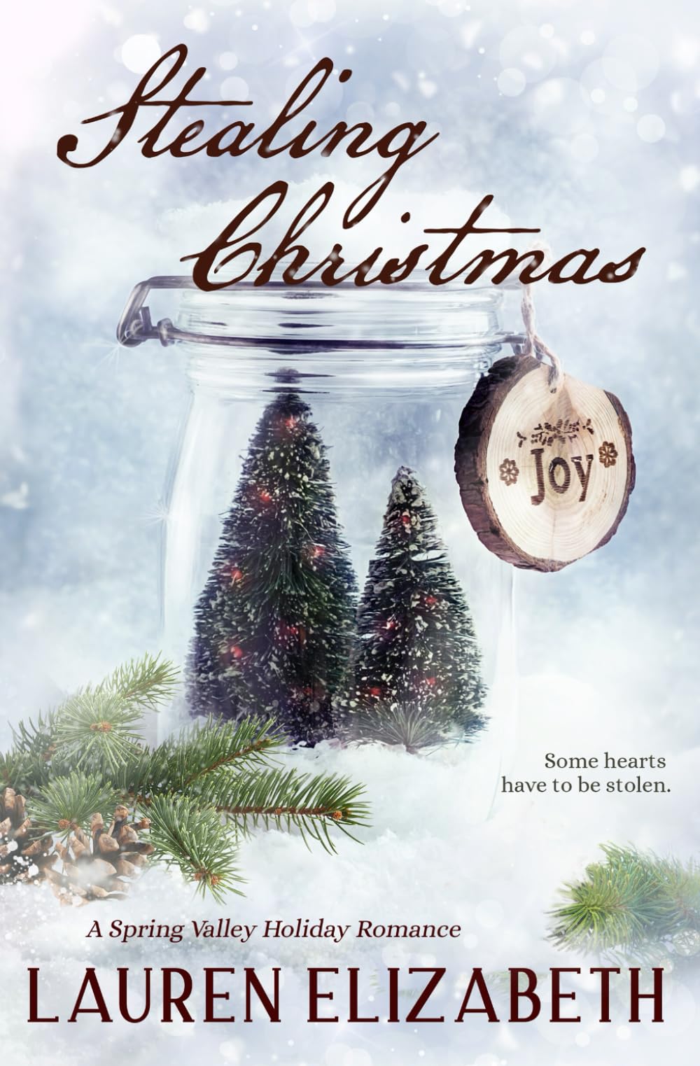 Stealing Christmas: A Spring Valley Holiday Romance