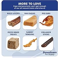 Vista 7 de Downtown Pet Supply Thin Junior Bully Sticks (6 pulgadas – 1/2 libra) – Palitos de matón para perros pequeños y cachorros – Un solo ingrediente