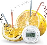 4M: KidzLabs: Lemon Clock - DIY & Experience Battery-Free Renewable Energy, Power A Digital Clock, STEM Learning Craft Activity Kit, Kids Age 5+