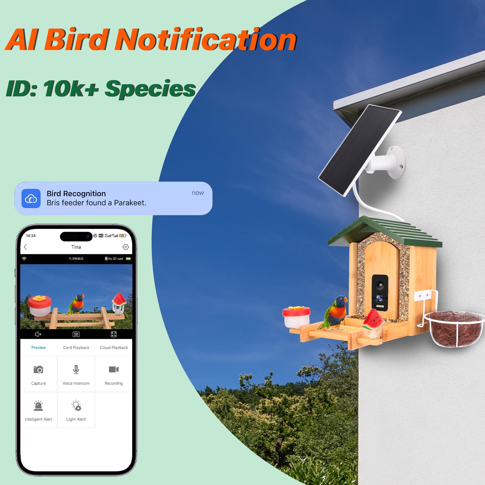 Smart Bird Feeder Camera 3K HD Solar Powered - Dettaglio
