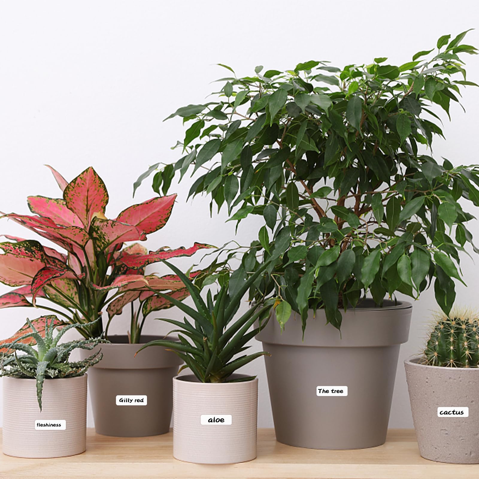 1300 Pezzi Etichette Adesive Bianche, 2x1 (50x25 Mm) Etichette Termiche Adesive Rotolo, Multifunzione, For Congelatore, Codici A Barre, Nome, Corrispondenza, Cancelleria - Foto 8