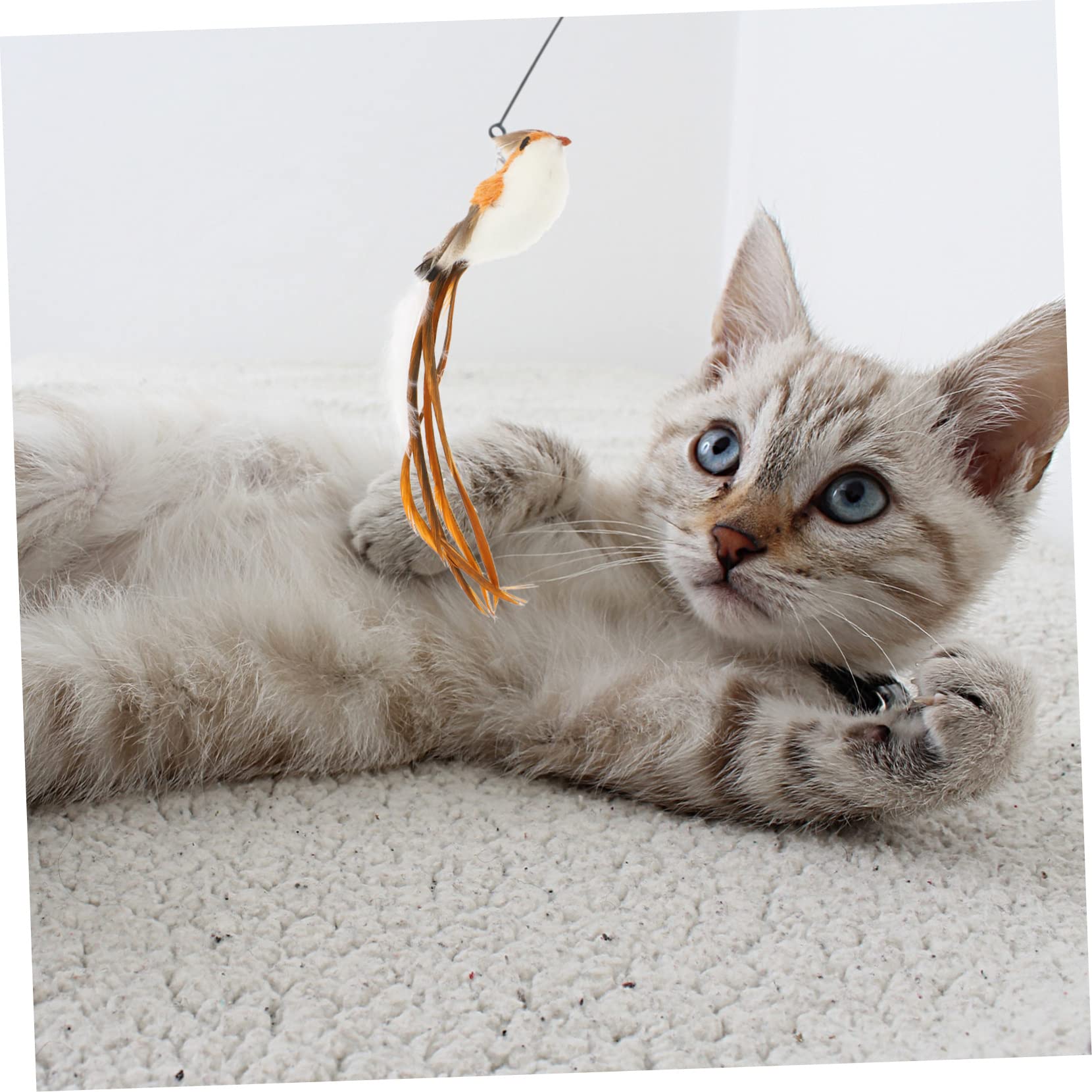 Happyyami 5sätze Katzenspielzeug Langen Stahlfeder-stäben Und Ersatzköpfen Interaktives Spielzeug Für Katzen Und Kätzchen Aktivität Und Spielverhalten Drinnen