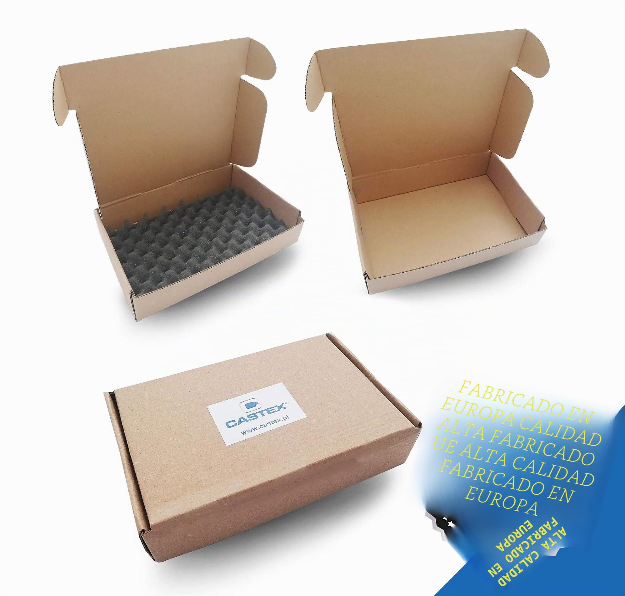 CASTEX Herramienta de Ajuste de Motor Juego de Calado de distribución Kit de Calado de Distribución para Coche compatibile con Jaguar Land Rover Range 2.0 JLR - Made in EU