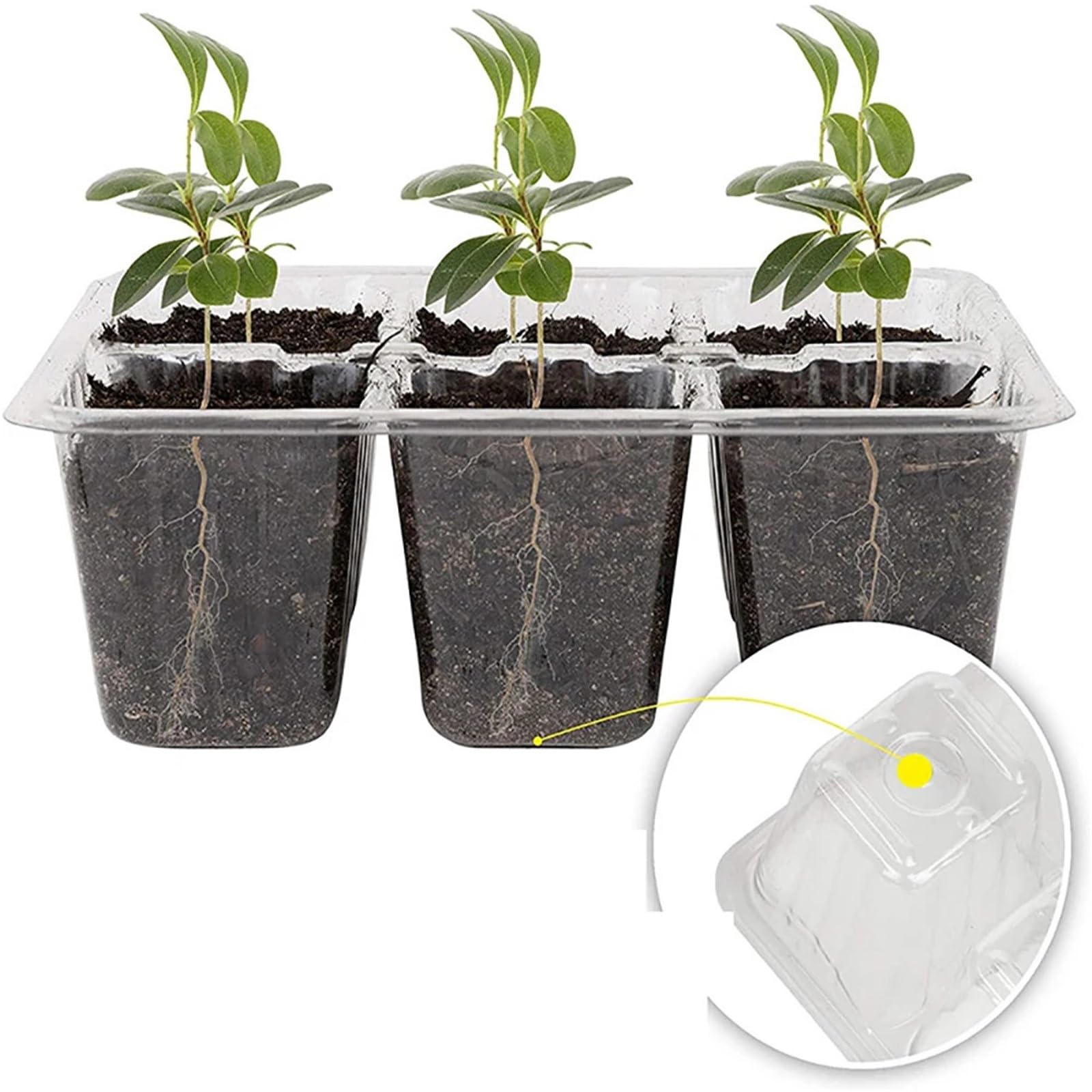 Anzuchtschale Samen-Starter-Tabletts, Aussaat-Sets mit Feuchtigkeitskuppeln, Decken die Keimung von Gartenpflanzen im Innenbereich ab für Pflanzen