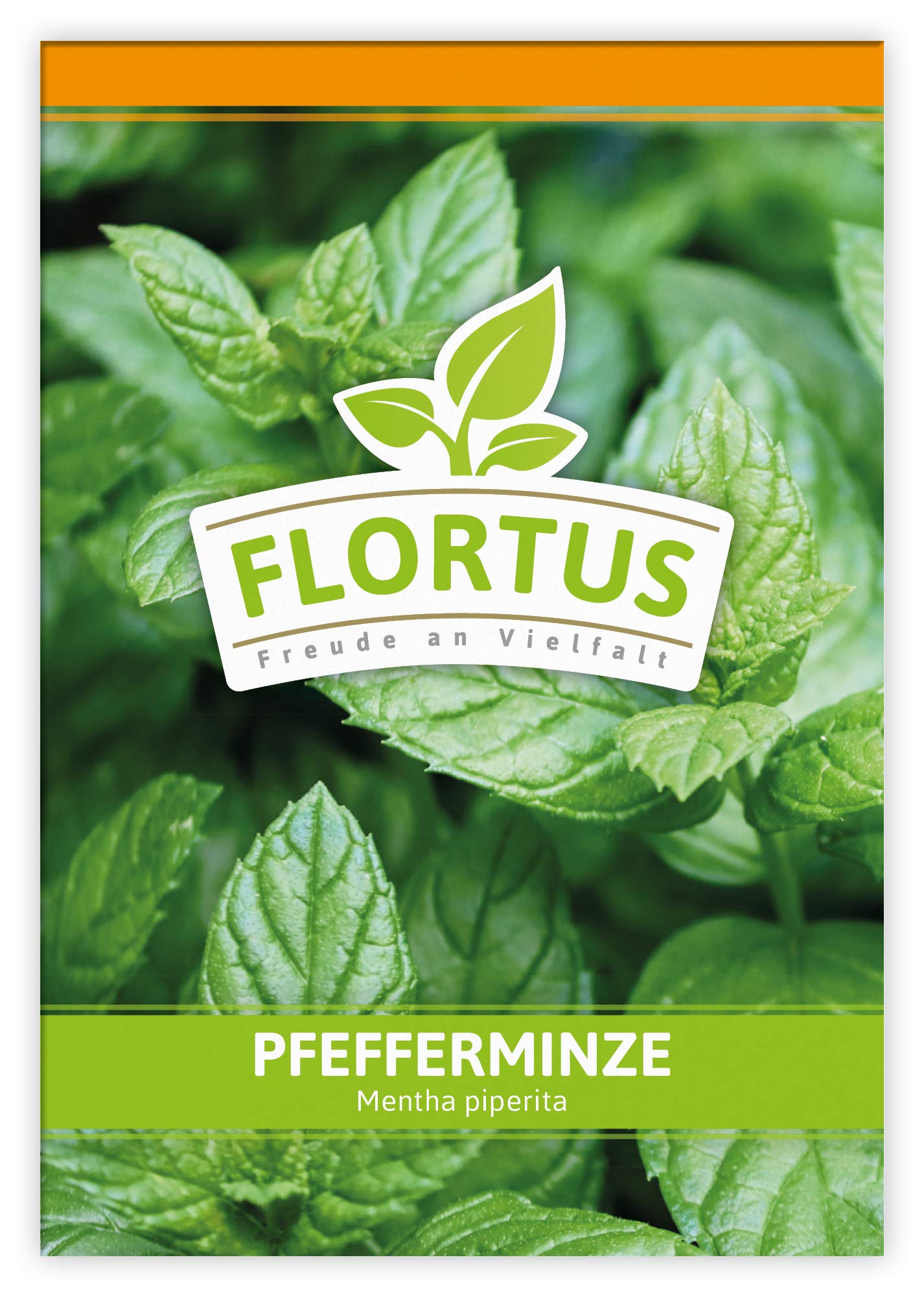FLORTUS 2000-0047-100x Pfefferminze (100 Tütchen) (Pfefferminzsamen)