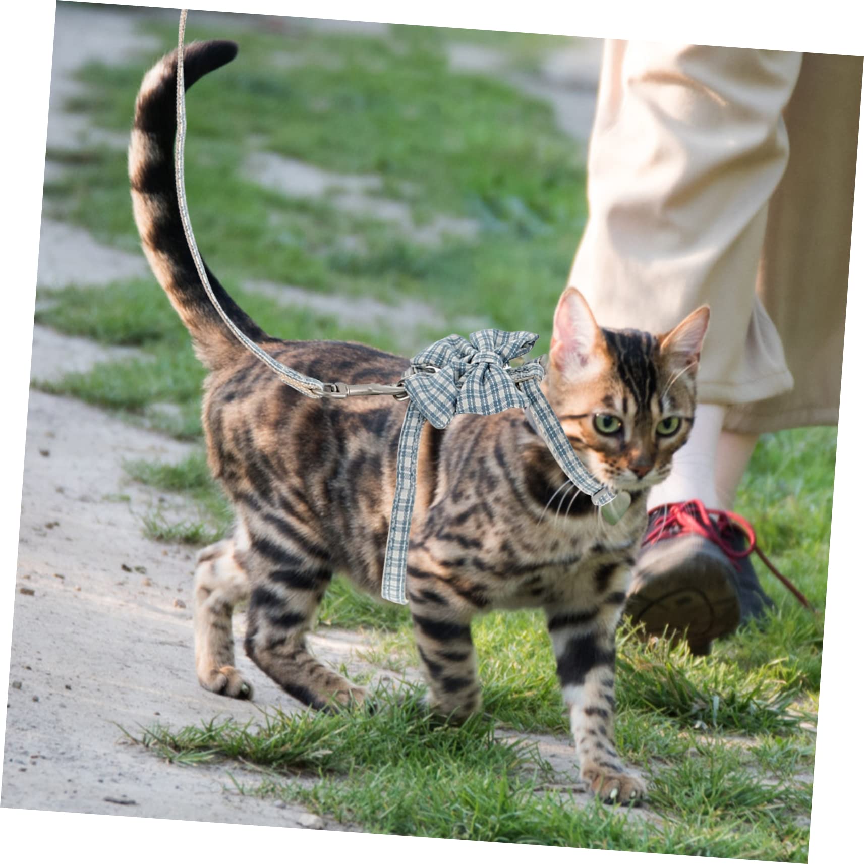Didiseaon 4sets Per Gatti Regolabile Con Guinzaglio Di Pettorina Per Gatti Da Massimo Comfort e Sicurezza Durante Le Passeggiate