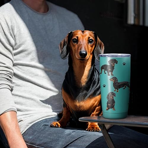 Miniatura 6 de Dachshund - Vaso térmico de acero inoxidable con tapa y pajilla, regalo conmemorativo ideal para perro, papámamá, 20 onzas