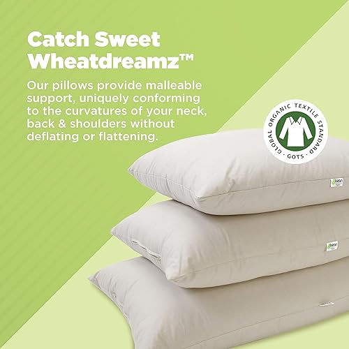 Miniatura 2 de Bean Products Almohada de trigo sarraceno  14 x 20 pulgadas  Tamaño japonés  Algodón orgánico, vegano, calidad premium  Hecho en Estados Unidos para