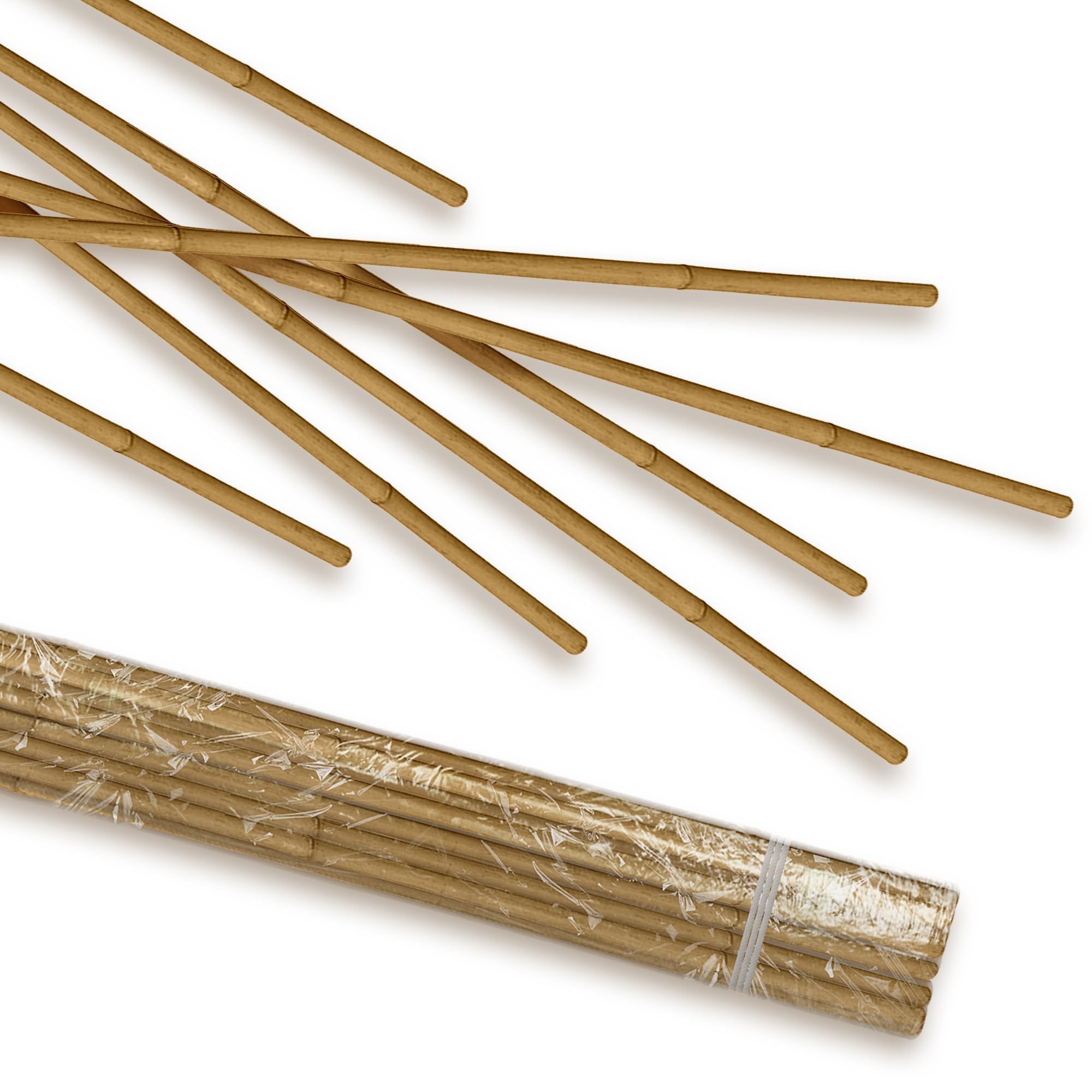 Bamboo Sticks for Plants - 120 Cm, 10 Pcs | Garden Sticks for Strong Support | Long Plant sticks for Plant Support Stakes (Slim, 10pcs, 120cm)