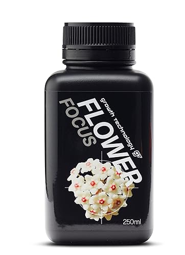 Miniatura 1 de Foco de flores (8.5 fl oz)