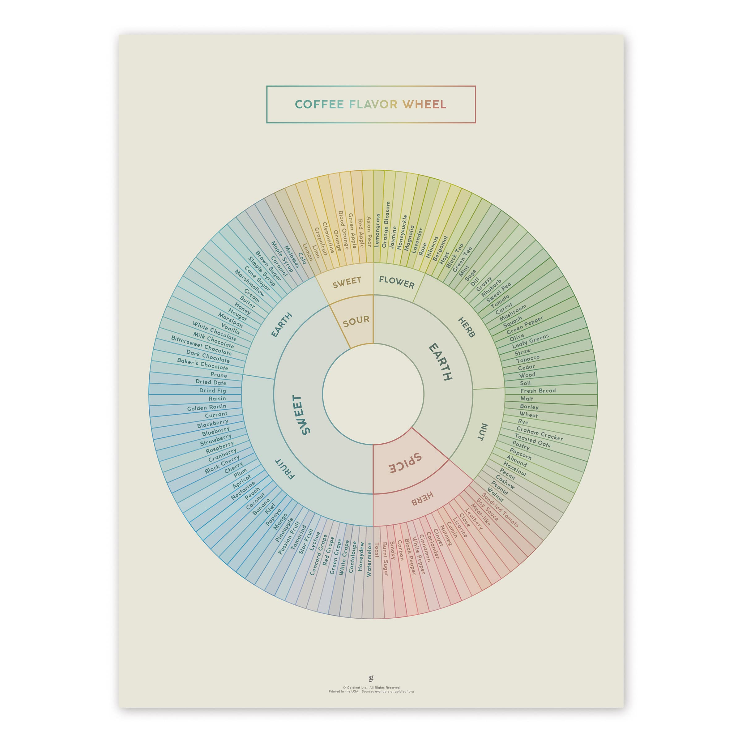 Amazon.com: Goldleaf Coffee Flavor Wheel Chart Print - Coffee