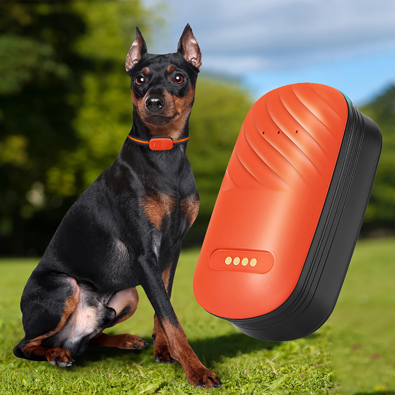 Localizzatore GPS per animali domestici, dispositivo anti-smarrimento con posizionamento multiplo e riproduzione storica dei brani per cani e gatti