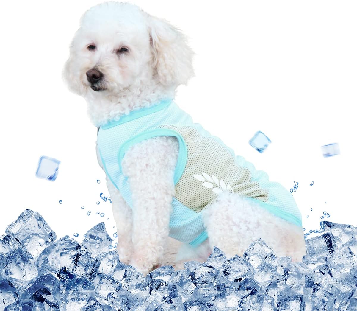 cooling clothes for dogs