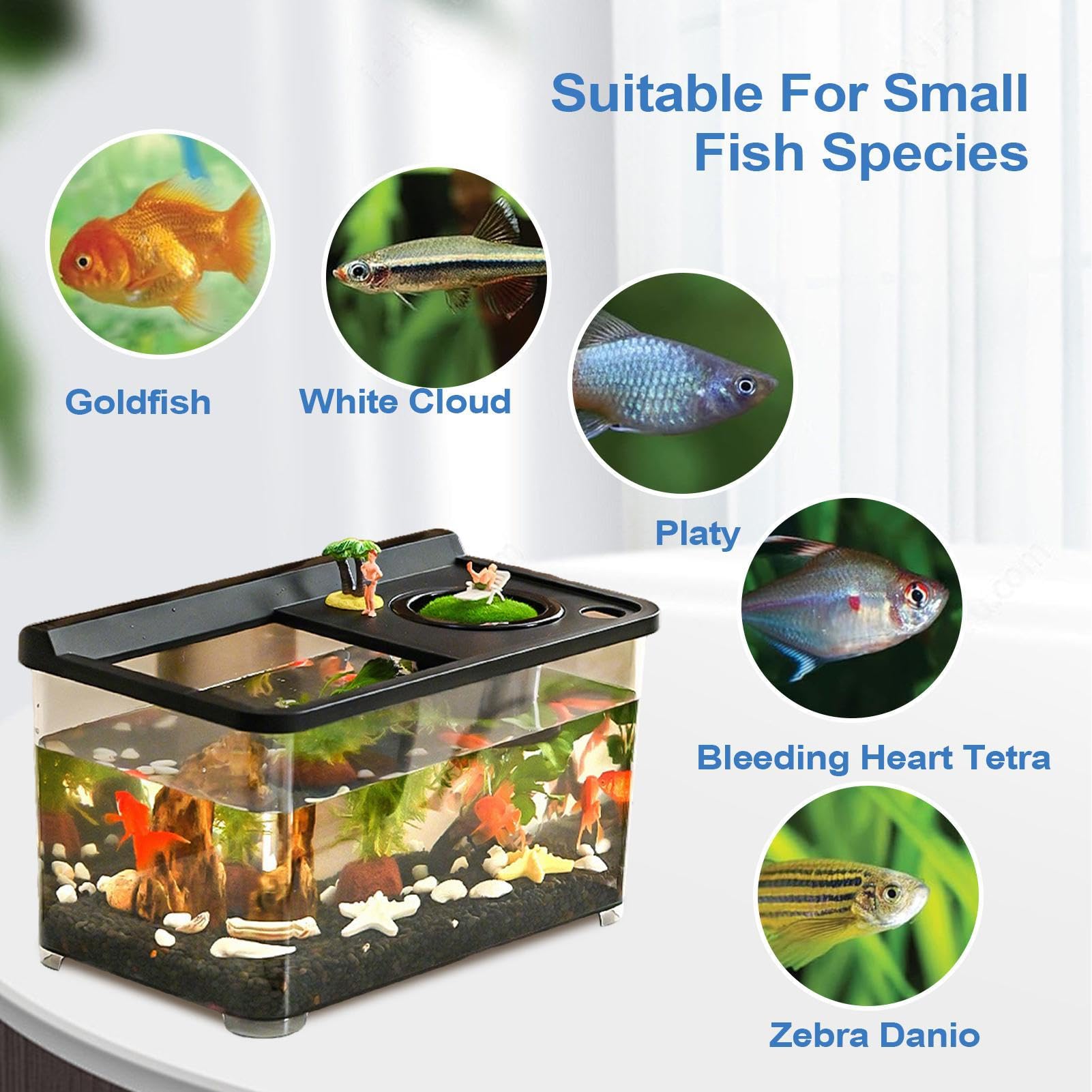 Aquarium pour Betta avec Éclairage 3 Couleurs Aquarium Haute Transparence | Écosystème Élégant pour Bureau Maison Entrée Chambre à Coucher