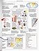 DK Science Encyclopedia (Revised Edition)