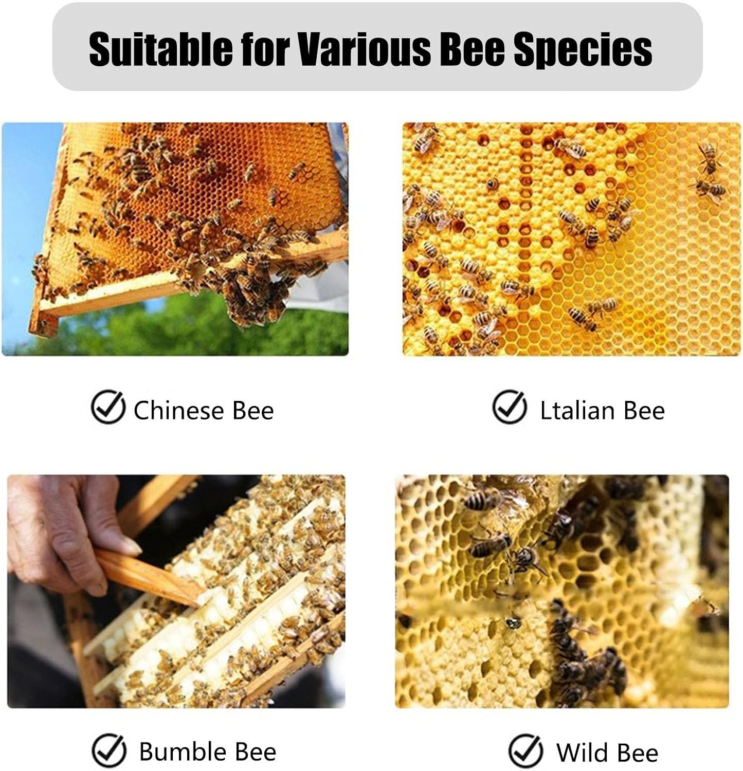 Honey Extractor 2 Frames, 304 Stainless Steel Honey Extractor Manual, The bottom can filter honey with Stainless Steel Cover and Handle, for Apiaries and Family Use,2 frame