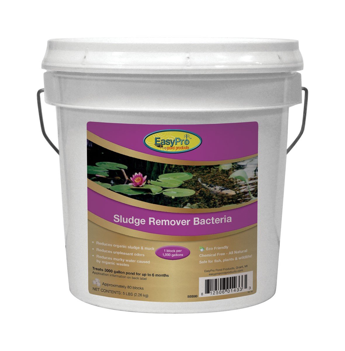 EasyPro Sludge Remover Bacteria 5 lb. Blocks