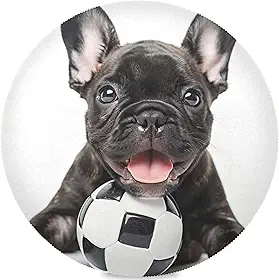 Jogo americano redondo de futebol com buldogue fofo para mesas redondas, 15,4 polegadas / 39 cm