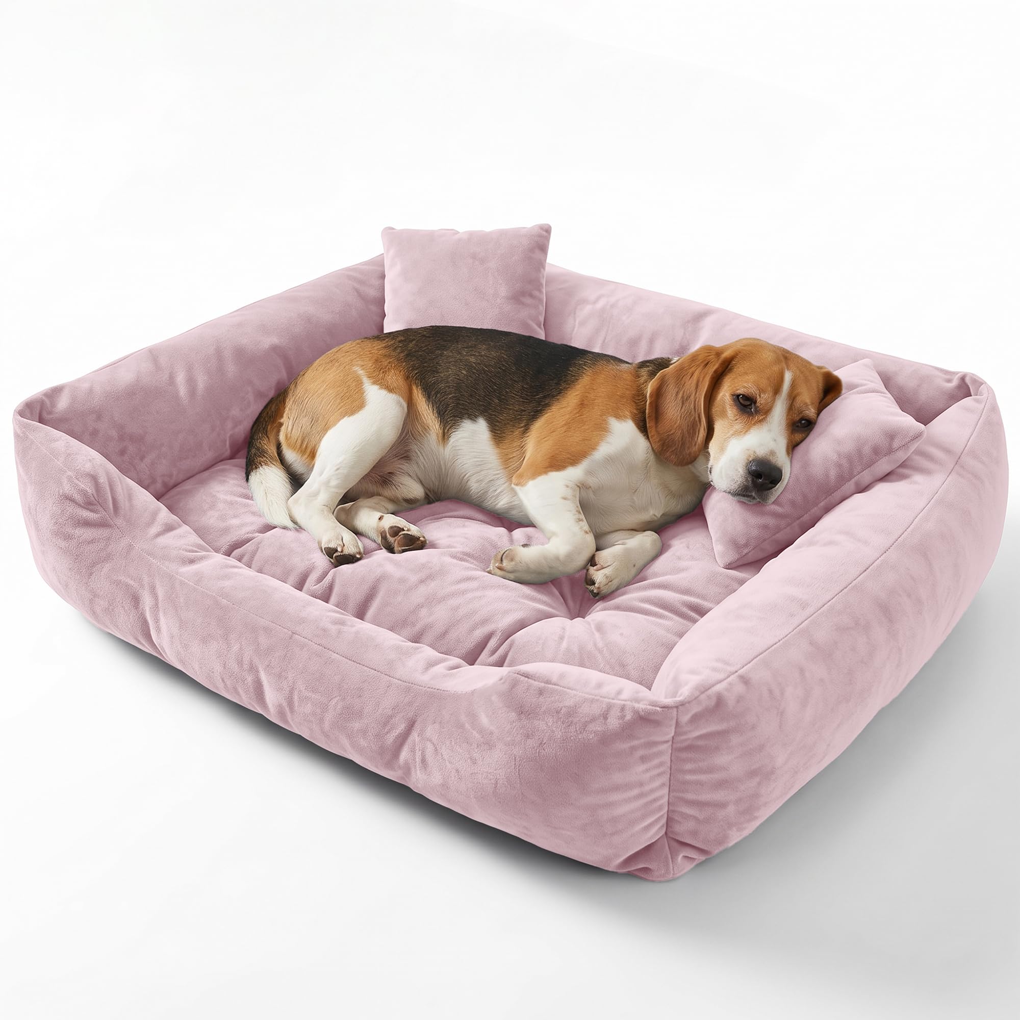 murando - Cuccia Cane Interno con 2 Cuscini 60x75 cm, Divano per Cani