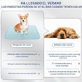 Ver la foto 6