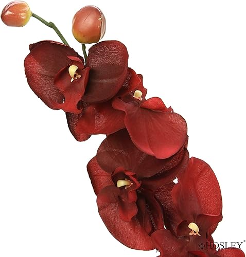 Miniatura 7 de Hosley Juego de 6 flores artificiales de orquídea de granja Phalaenopsis de 28 pulgadas de largo, Burgandy. Ideal para usar jarrones, para el hogar,