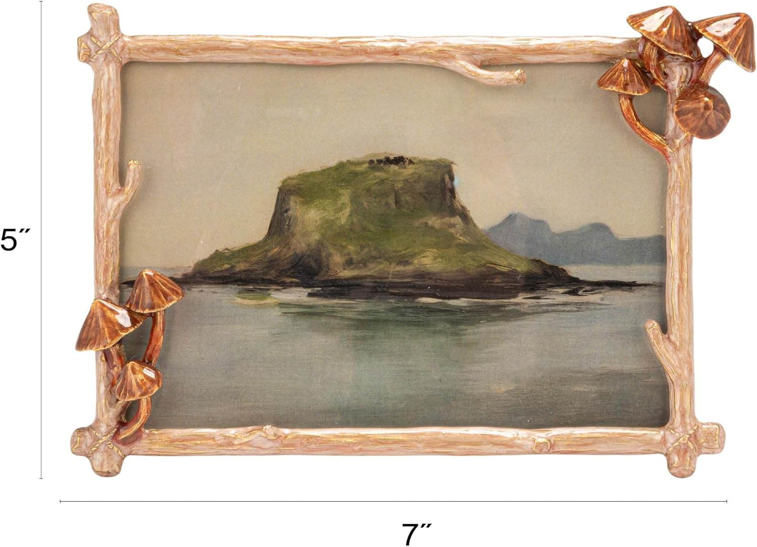 Creative Co-Op Enameled Metal Photo Frame with 3D Mushrooms, Multicolor