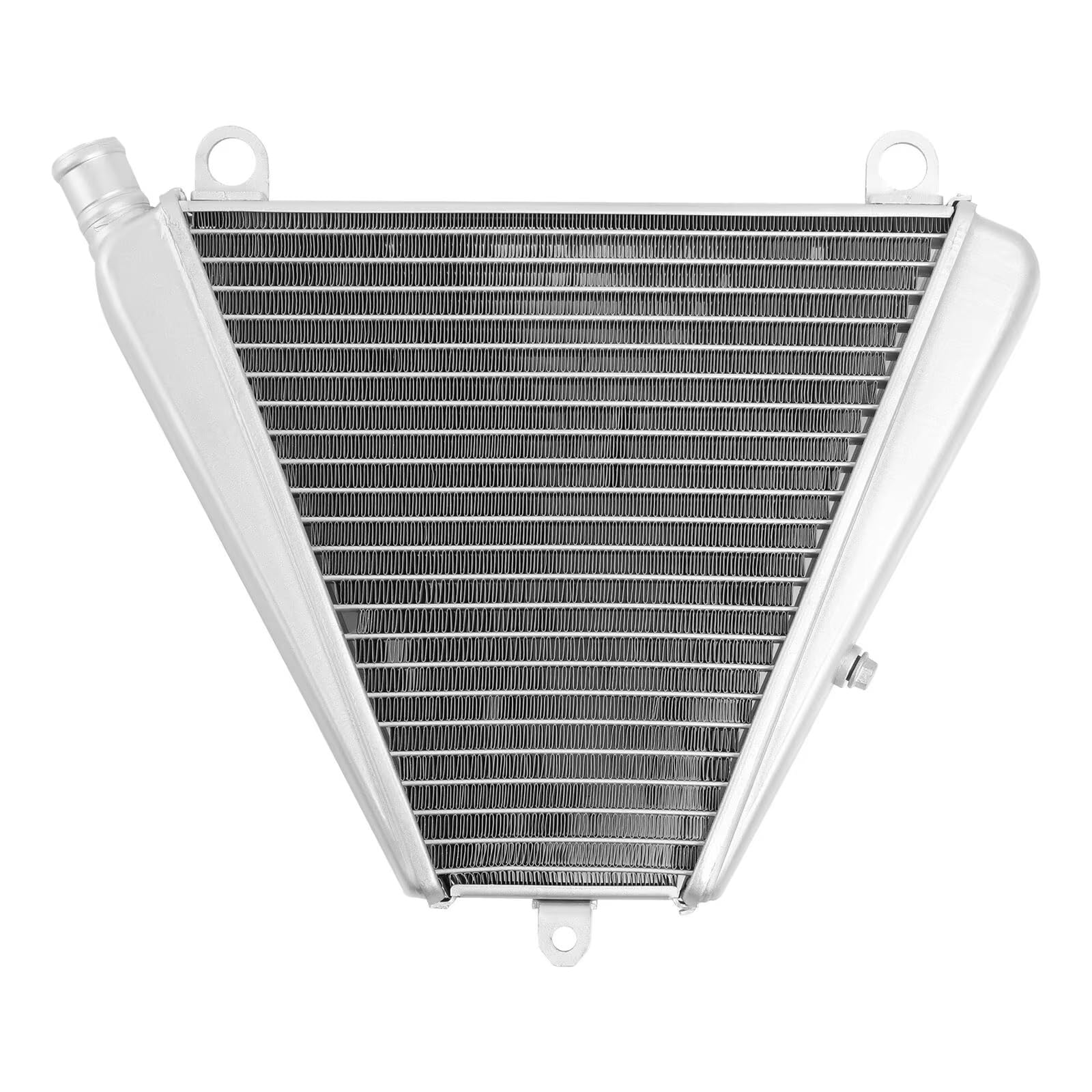 Compatibile Con Ducati Per 959 Per Panigale 2016 Per 1199 Per Panigale 2012-2015 Serbatoio Acqua Per Moto Radiatore Per Moto Radiatore Moto