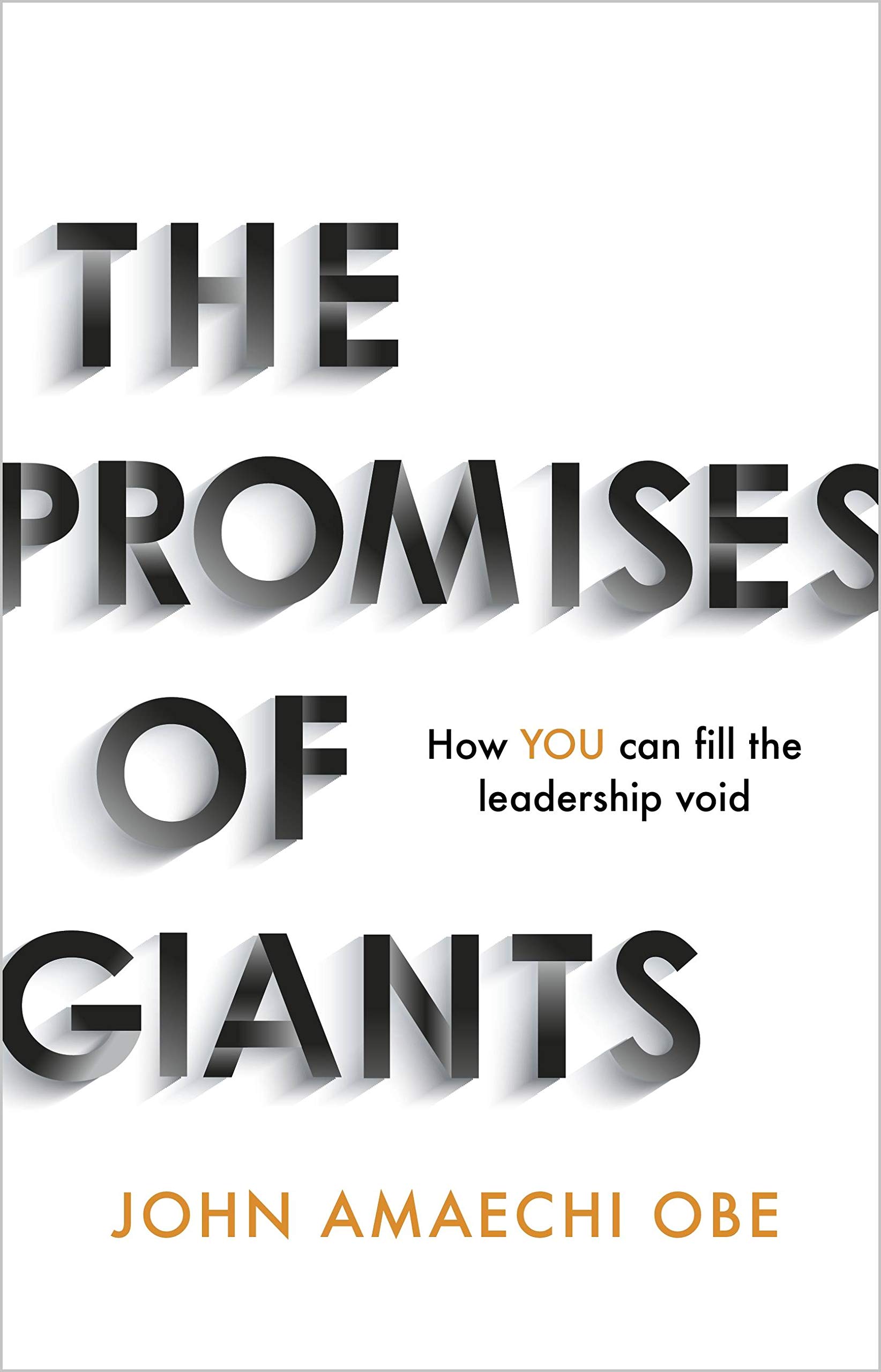 Buy The Promises Of Giants: How You Can Fill The Leadership Void — BookShops.in